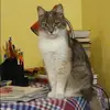 Отзыв от Людмила Трофимова